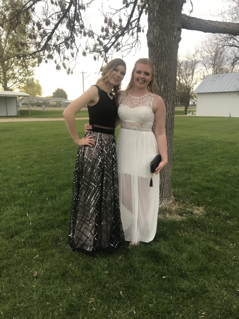 AYA Prom 2017 | Academic Year in America (AYA)