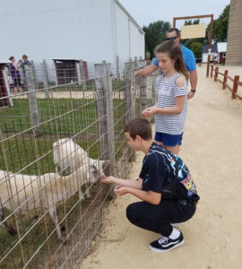 Visiting farm animals