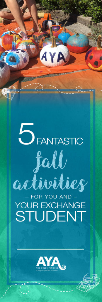 5 Fantastic Fall Activities for You and Your Exchange Student | Academic Year in America (AYA)