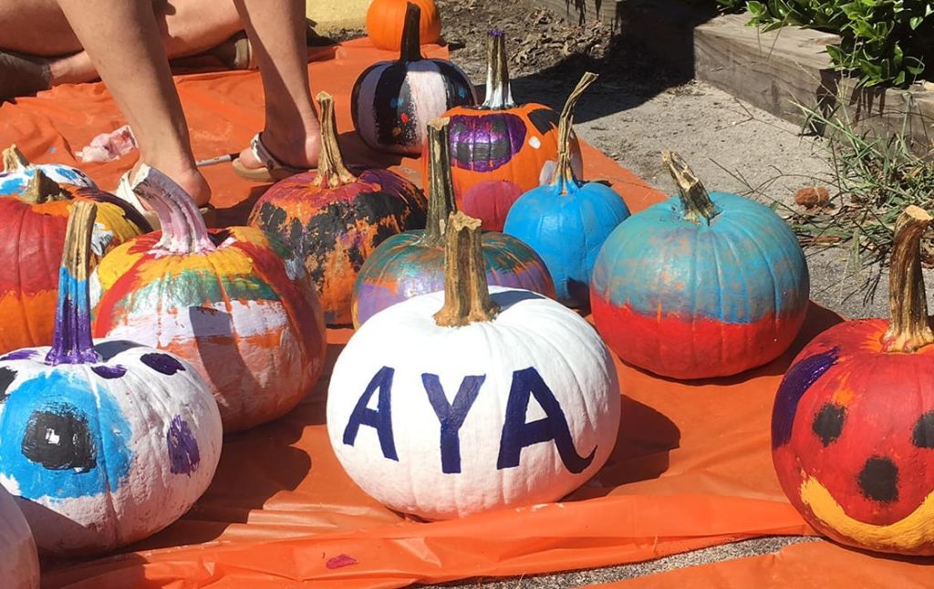 5 Fantastic Fall Activities for You and Your Exchange Student | Academic Year in America (AYA)