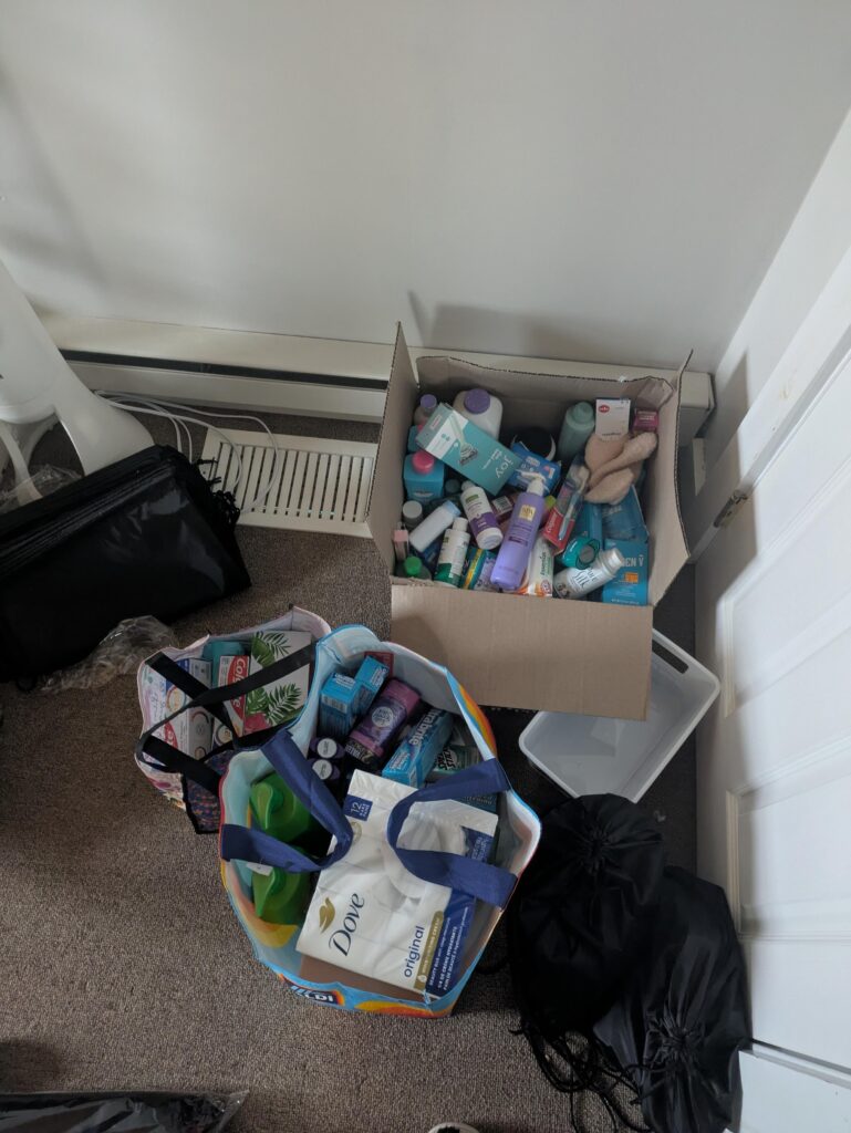 Global Youth Trailblazer Grants Lia Hygiene Kits